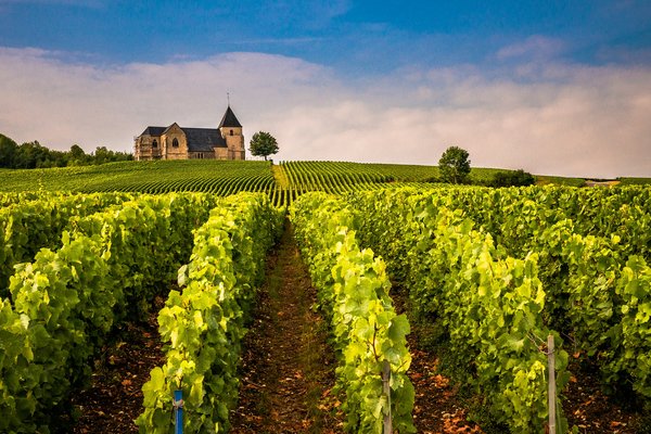 Comment choisir une croisière qui propose des visites des vignobles en Italie?